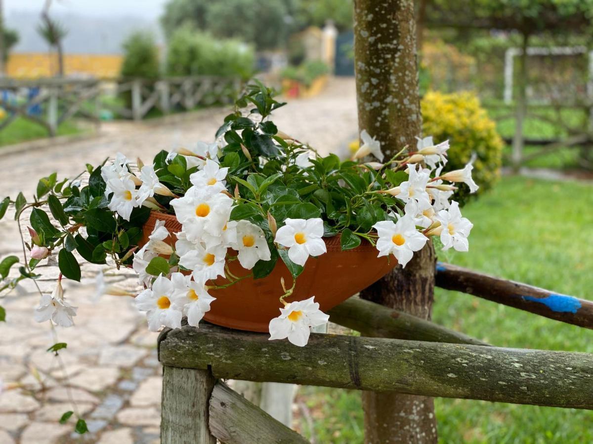 Charm Azenha Dobidos Farm Villa Olho Marinho Exterior foto